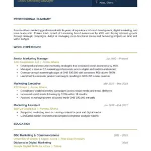 Professional CV Template