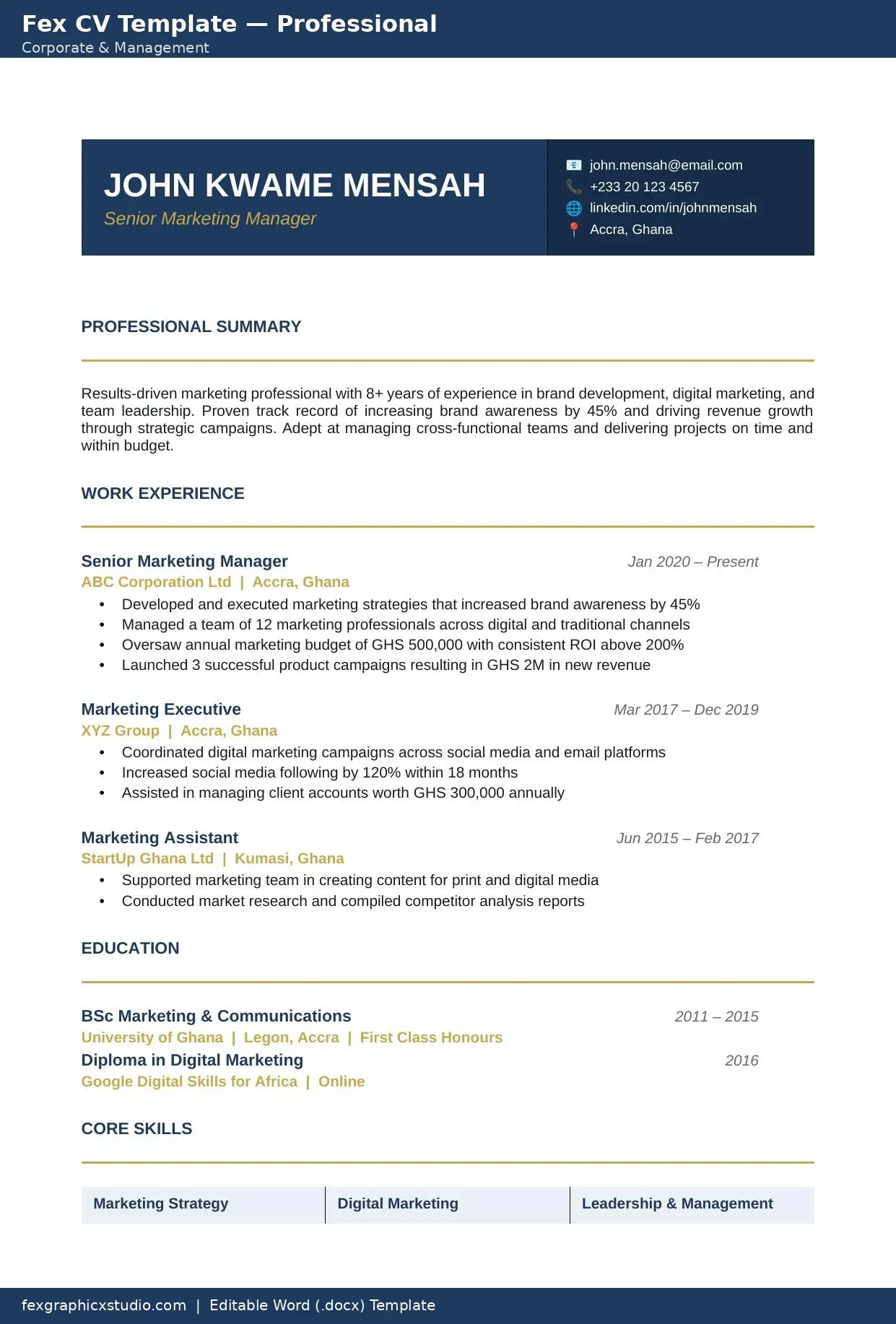 Professional CV Template 1 Professional CV Template